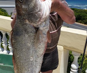 19kg Kabeljou vanaf Topless